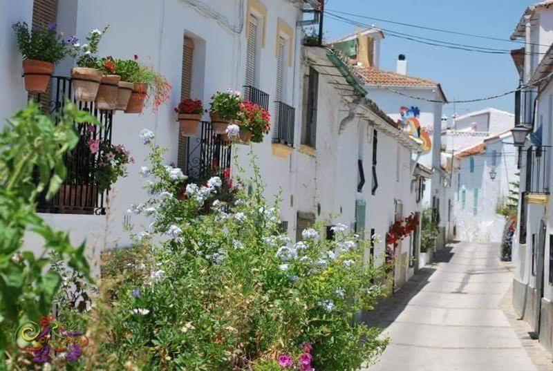 Casa Rural Sierras De Gaucin Apartamento Exterior foto